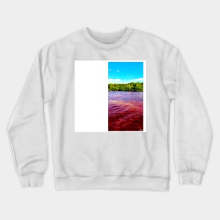 celestun ria wetland ecopark ecopop landscape photo in yucatan flamingo kawaii Crewneck Sweatshirt